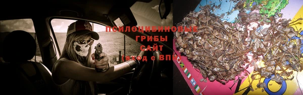 хмурый Бородино