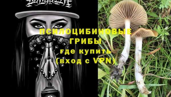 хмурый Бронницы