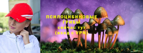 мдпв Бугульма