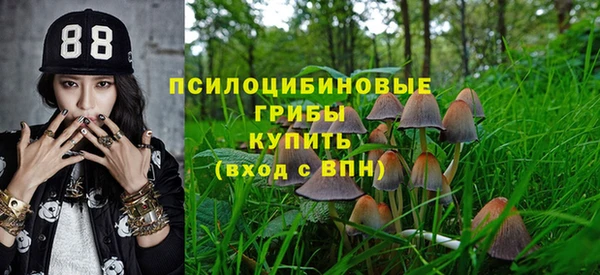 хмурый Бронницы