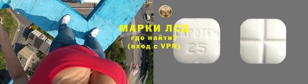 хмурый Бородино