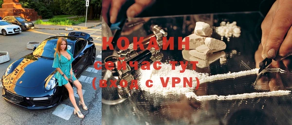 хмурый Бородино
