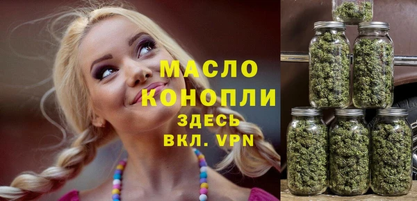 хмурый Бородино