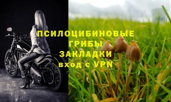 хмурый Бронницы