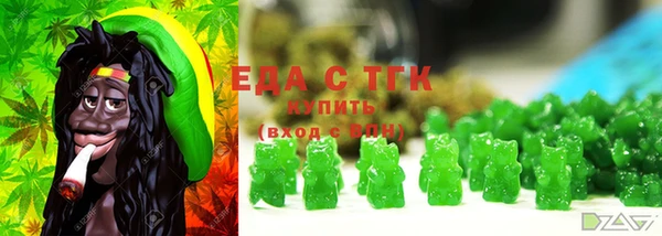 хмурый Бородино